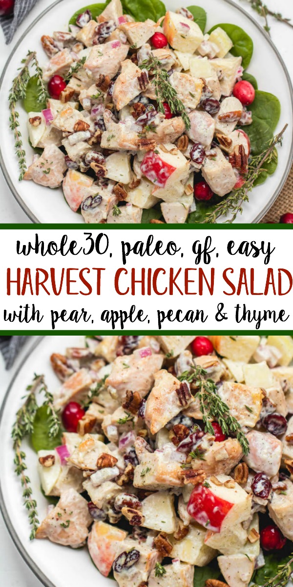 Curried Chicken Salad with Apples (Whole30 Paleo) • Tastythin