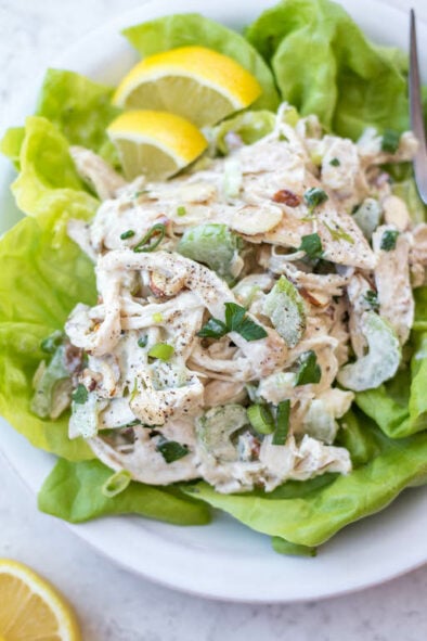 Shredded Chicken Salad (Whole30 and Paleo) - Whole Kitchen Sink